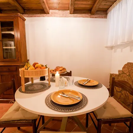 Romantic Nest *